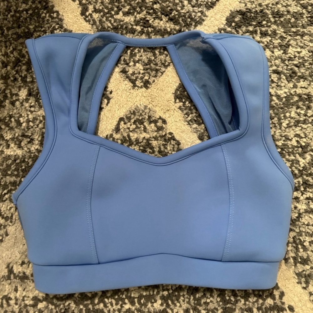 Cleo Harper Blue Sports Bra